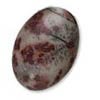 Crazy Horse - Crazy Horse Manufacturer, Wholesale Crazy Horse